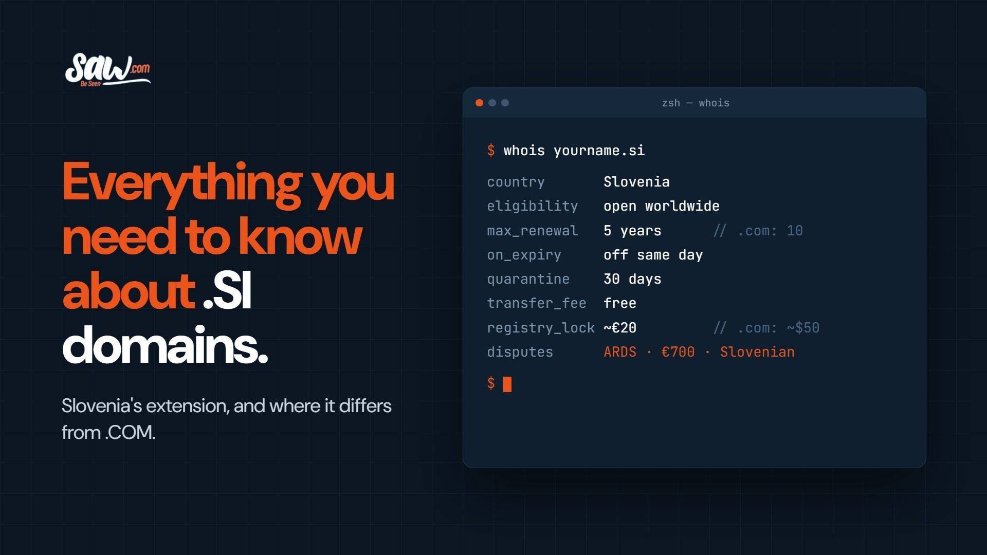 .si domains blog image