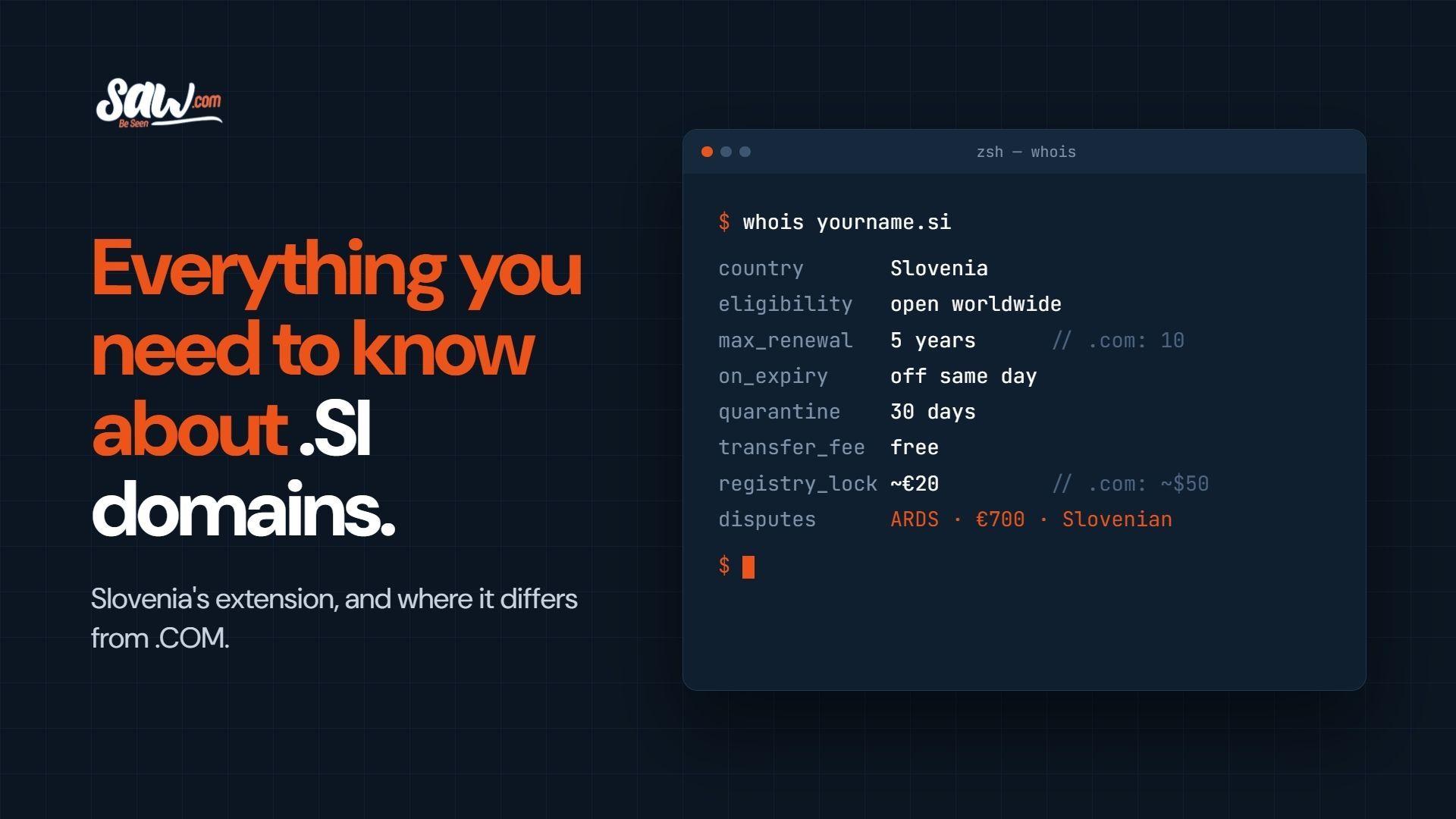 Everything You Need to Know About .SI Domains